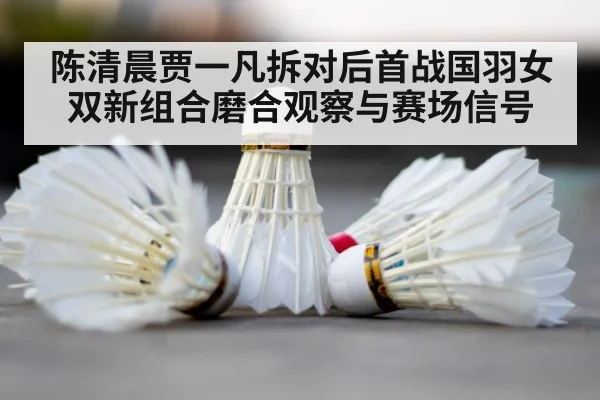 badminton shuttlecock court